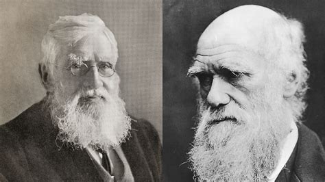 Impact Of Darwin And Wallaces Ideas On Biology How Was The Theory Of