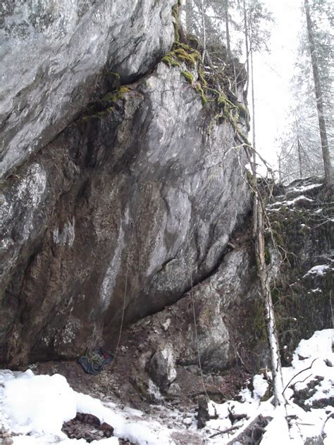De marihuanabam in himme nauf. ULMER JUNGS: Hölltobel - Zerberus