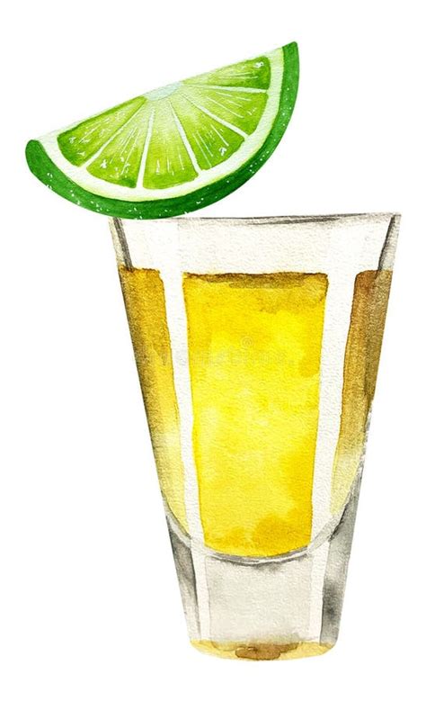 Watercolor Tequila Shot With Lime Slice Isolated On White Stock