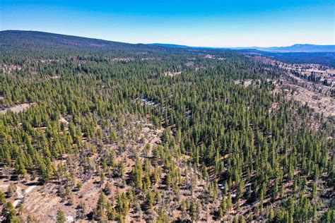 Over Six Acres Of Serene Forest Sanctuary With Seasonal Stream