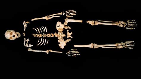 Pit Of Bones Yields Oldest Known Human Dna