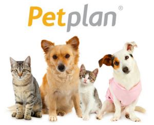 Petplan seems to have one sticking point lately with petplan pet insurance offers deals for cats and dogs for those in the united states and canada. 5 Best Pet Insurance Options - Dognutrition.com