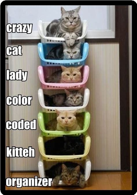 Funny Cat The Crazy Cat Lady Color Coded Organizer
