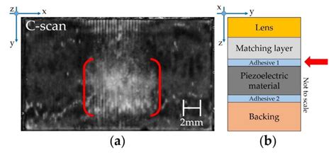 Sensors Free Full Text Scanning Acoustic Microscopy Sam A Robust