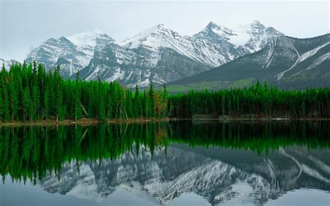 Herbert Lake Banff National Park Mountain Water Reflection Wallpaper