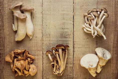 9 Edible Mushrooms That Grow On Wood And You Can Grow At Home Aker