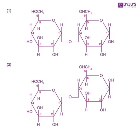 Maltose Structure Formula Properties Production Uses