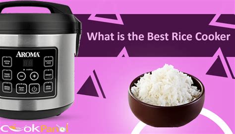What Is The Best Rice Cooker A Complete Guide What Things To Consider