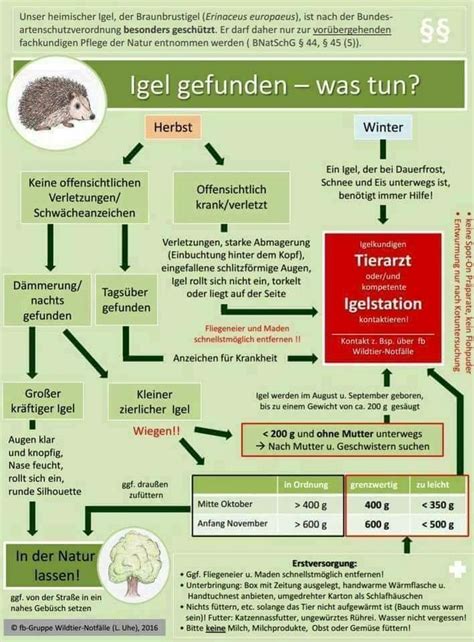 Check spelling or type a new query. Igel im Garten - kleintierrettungs Webseite!