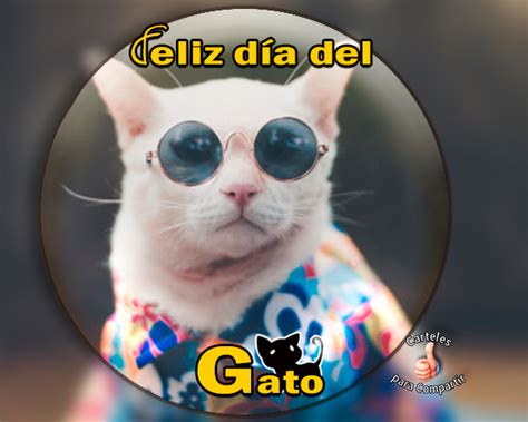 #celebraciones instaurado por el fondo internacional para la protección de los animales y su hábitat (ifaw), desde el año 2002, cada 8 de agosto se celebra el día internacional del gato.la fecha busca no solo dedicarles un día exclusivo a estos pequeños y simpáticos felinos, sino, fundamentalmente, sensibilizar a sus dueños acerca de la importancia de los cuidados que ellos requieren a. Día Internacional del gato - Imágenes con frases para ...