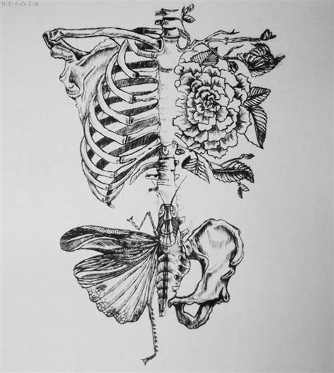 Skeleton Rib Cage Drawing Google Search Japanese Tattoo Art Nature