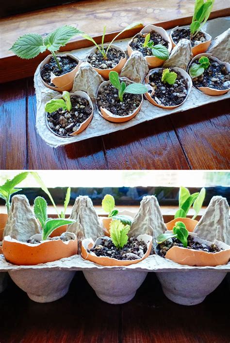 136 Creative Gardening Ideas To Try At Home