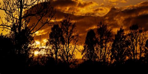 Kostenlose Foto Baum Natur Wolke Himmel Sonne Sonnenaufgang