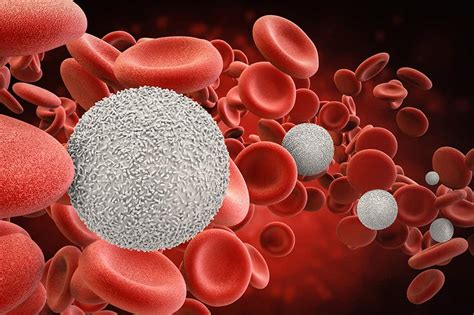Or, sometimes the symptoms may be mistaken for a severe cold or flu. New treatments bring hope to blood cancer patients | Rocky ...