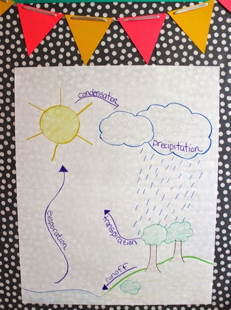 Water Cycle Anchor Chart Water Cycle Anchor Chart Science Anchor