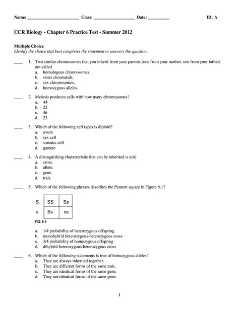 Chapter 6 Biology Test Fill In Online Printable Fill In The Blank