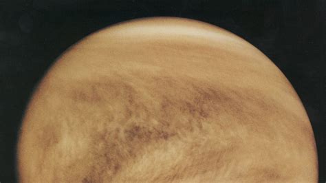 Researchers Discover Signs Of Life On Venus Using Data From NASAs
