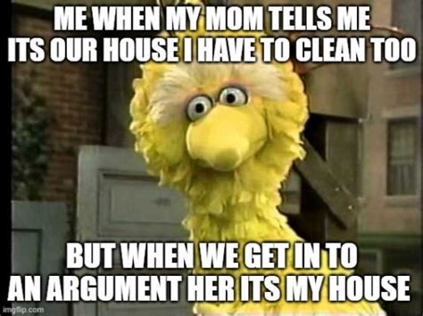 50 Funny Big Bird Memes That Will Make You Laugh