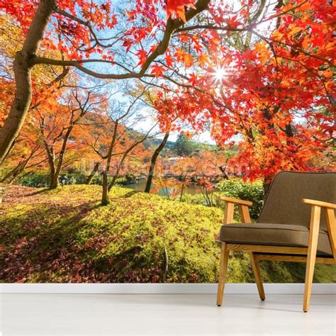 Autumn Scene With Red Trees Wallpaper Mural Wallsauce Us