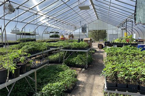 Smart Farm Locally Grown Vegetable Plant Sale May 11th ...