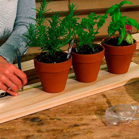 How To Build A Hanging Indoor Herb Garden Hanging Herb Gardens