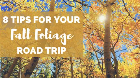 Travel Tips For Your Fall Foliage Road Trip Hirschfeld