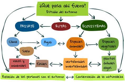 Esquema Naturaleza ¡fotos And Guía 2021