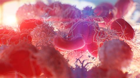 Disease Digital Art Colorful Hiv Macro Cells Wallpaper 172388 1920x1080px On
