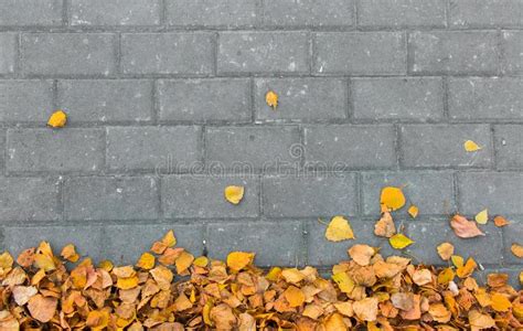Autumn Leaves On Paving Stone Bricks Background Stock Image Image Of