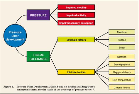 Figure From Risk Factors For Pressure Ulcers Can They Withstand The