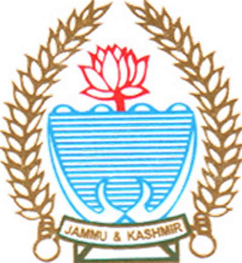 Rto To Face Action For Issuing Licence To Patient Jammu Kashmir