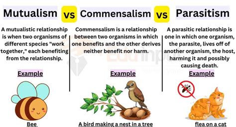 Differences Between Mutualism And Commensalism And Parasitism