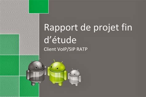 Rapport De Pfe Rapport De Projet Fin Détude Client Voipsip Ratp