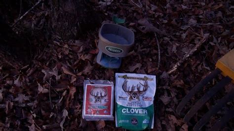 Frost Seeding Timber Food Plots With Whitetail Institute Clover And Chicory Youtube