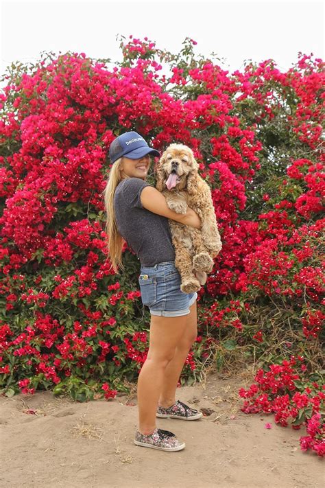 The Ultimate Dog Friendly Santa Barbara Guide Alex In Wanderland