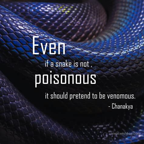 45 Snake Quotes Captions And Sayings Wishbaecom