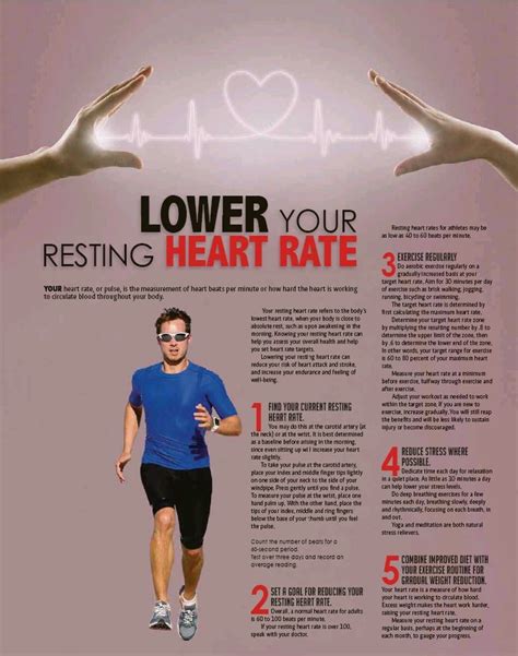 How To Lower Running Heart Rate Heightcounter5