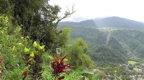 discover dominica the nature island youtube