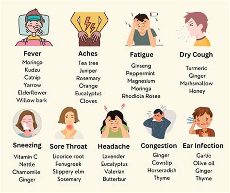 Cold And Flu Cheat Sheet The Lost Herbs