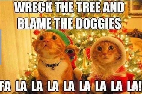 100 Funniest Merry Christmas Memes Christmas Memes