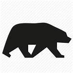Bear Icon Polar Grizzly Animal Icons Fine