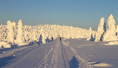 Finland oo ku qoran luqadaadasoomaali finlandia en tu idiomaespañol Trekking in Finlandia alla scoperta dei Sami - Happy to be ...