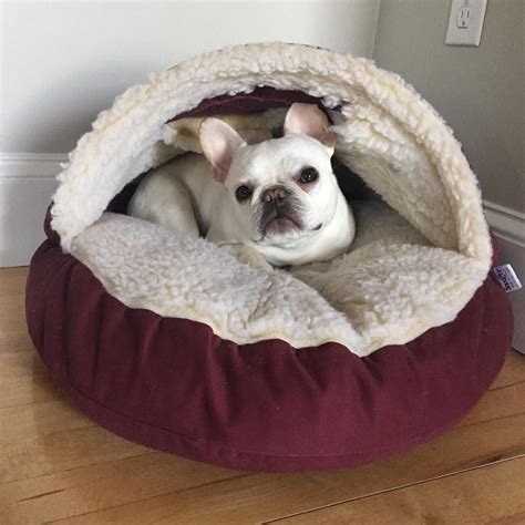 More than 49 french bulldog beds at pleasant prices up to 52 usd fast and free worldwide shipping! Snuggle bed | French bulldog bedding, French bulldog, Bulldog