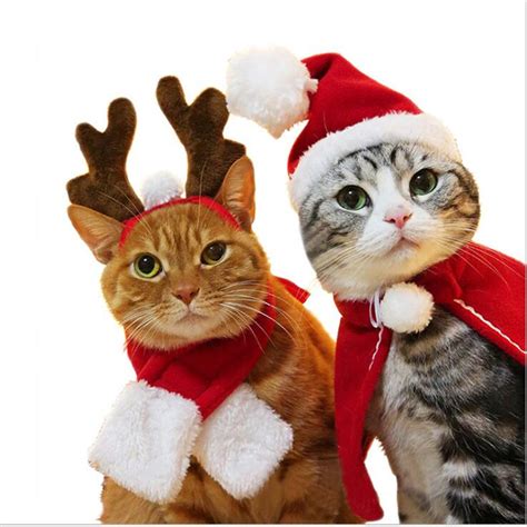 2019 New Cat Christmas Costumes Cloaks Mantle Buckhorn Hat