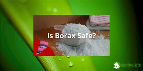 Borax And Boric Acid Are They Safe I Read Labels For You