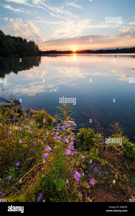 Sunset At Lakeside Stock Photo Alamy