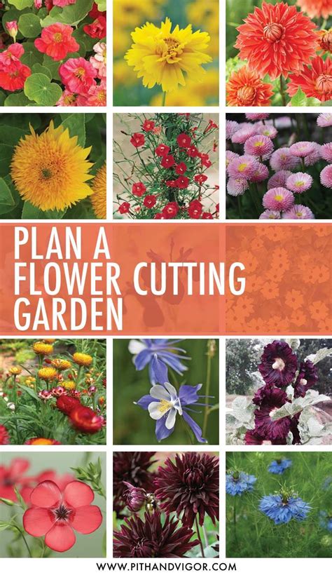 Let us help you get started! Pin on Brilliant Garden ideas feeder Board