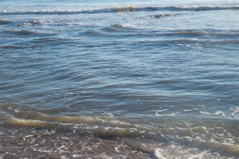Gulf Of Mexico Water Free Photo Download Freeimages
