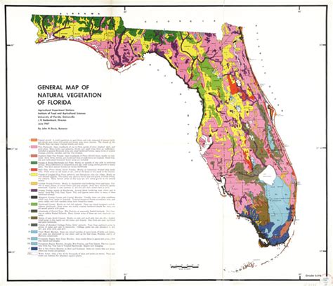 General Map Of Natural Vegetation Of Florida Circular S 178 Map