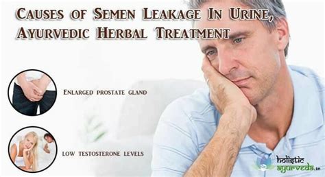 Causes Of Semen Leakage In Urine Ayurvedic Herbal Treatment